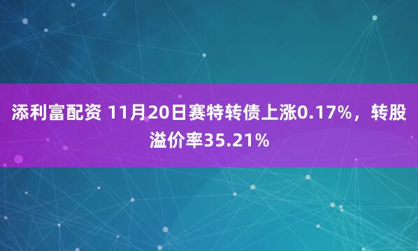 添利富配资 11月20日赛特转债上涨0.17%,转股溢价率35.21%