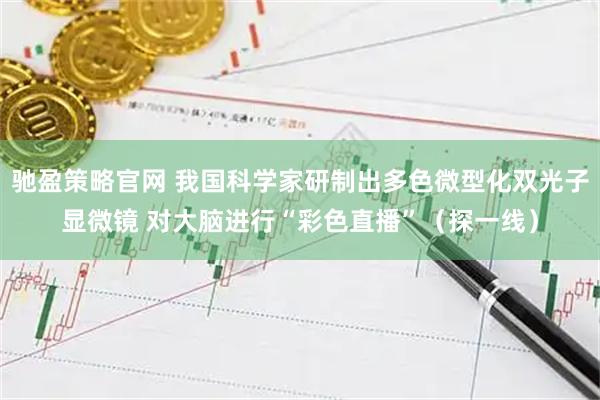 驰盈策略官网 我国科学家研制出多色微型化双光子显微镜 对大脑进行“彩色直播”（探一线）