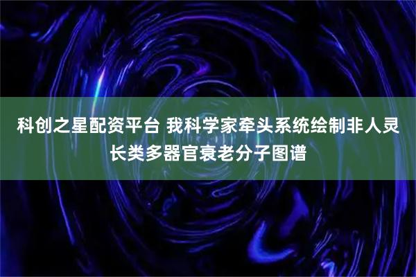 科创之星配资平台 我科学家牵头系统绘制非人灵长类多器官衰老分子图谱