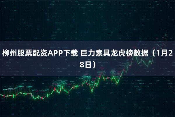 柳州股票配资APP下载 巨力索具龙虎榜数据（1月28日）