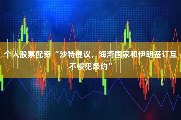 个人股票配资 “沙特提议，海湾国家和伊朗签订互不侵犯条约”